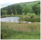 Auchencheyne Country House - grounds