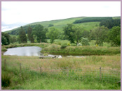 Auchencheyne Holiday Cottage accommodation, Glencairn Valley, South West Scotland