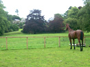 Auchencheyne Holiday Cottage accommodation, Glencairn Valley, South West Scotland