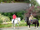 Auchencheyne Holiday Cottage accommodation, Glencairn Valley, South West Scotland