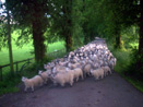 Auchencheyne Holiday Cottage South West Scotland