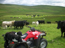 Auchencheyne Holiday Cottage South West Scotland