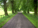 The approach to Auchencheyne